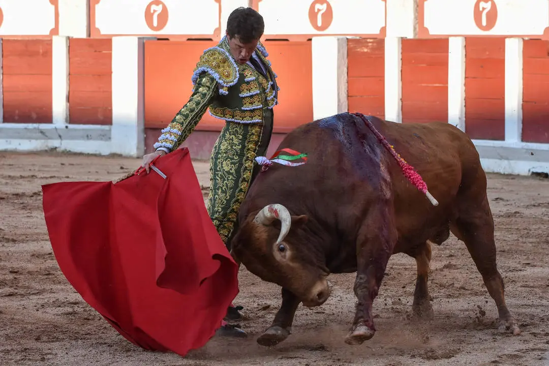 toros zamora san pedro 2024 (14)