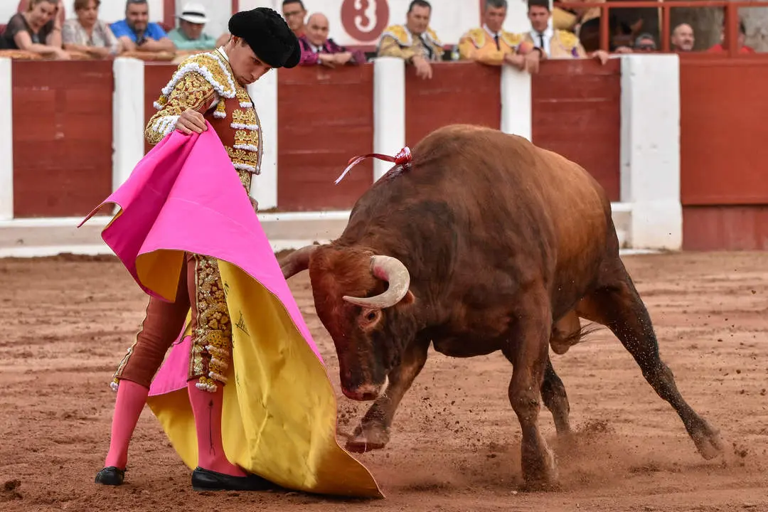 toros zamora san pedro 2024 (16)