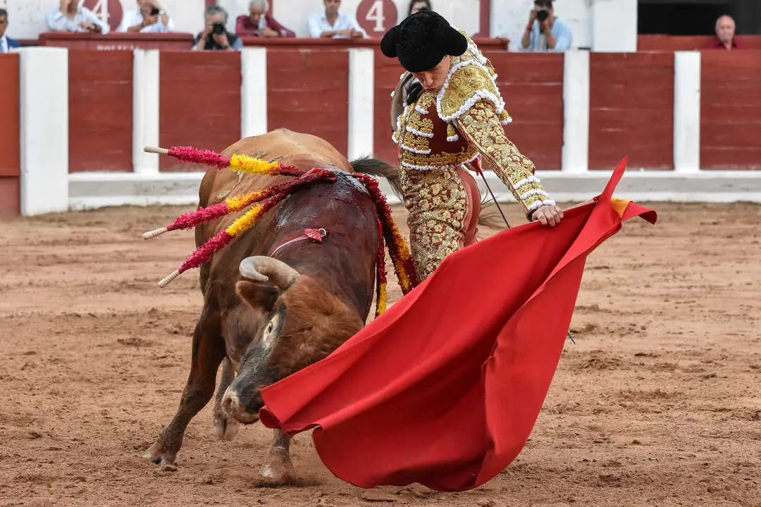 toros zamora san pedro 2024 (18)