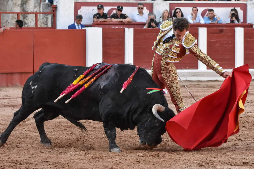 toros zamora san pedro 2024 (19)