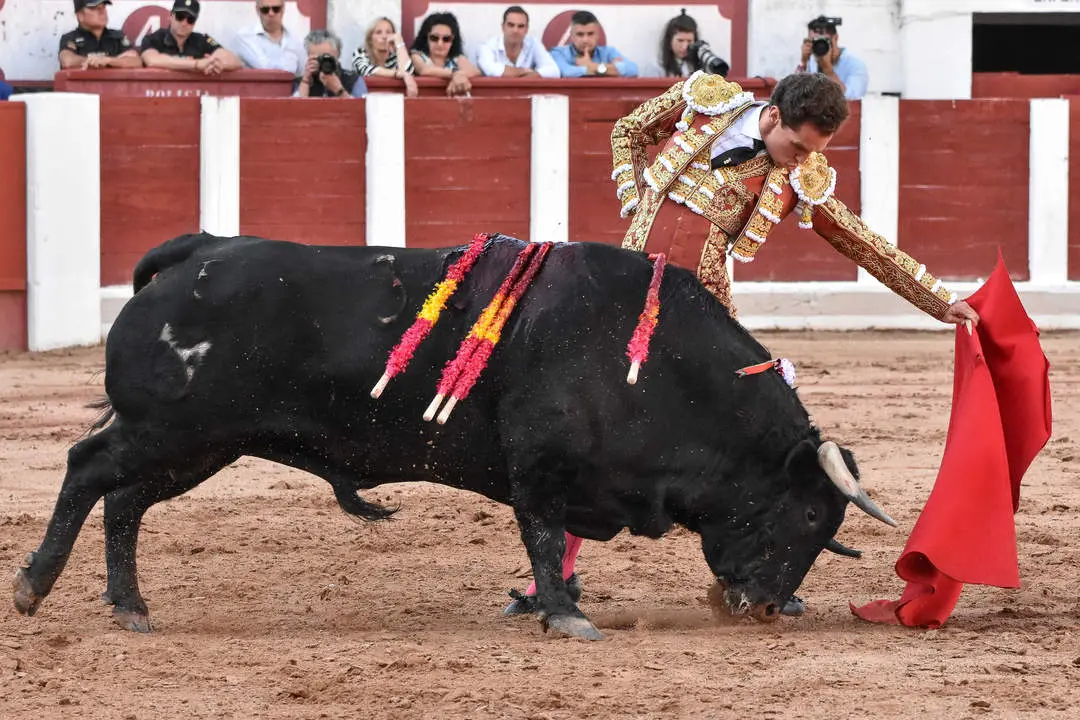 toros zamora san pedro 2024 (20)