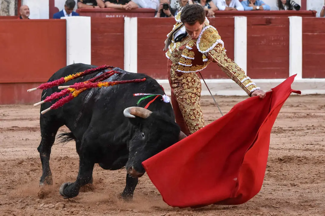 toros zamora san pedro 2024 (21)