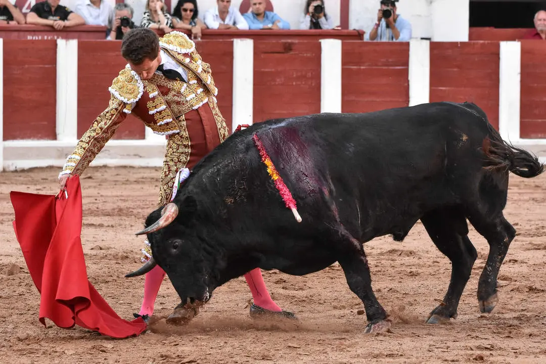 toros zamora san pedro 2024 (22)