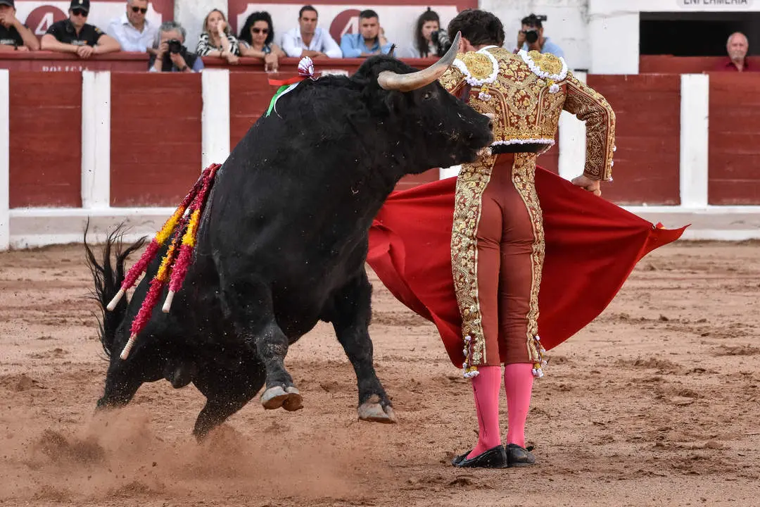 toros zamora san pedro 2024 (23)