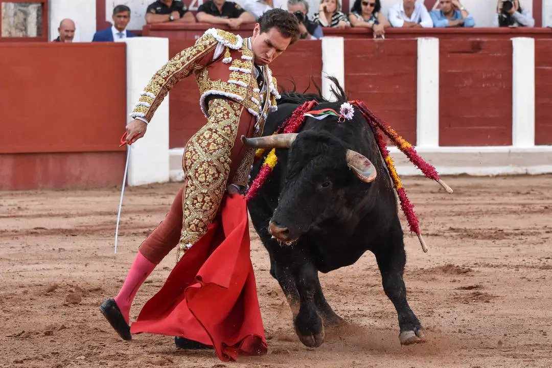 toros zamora san pedro 2024 (24)