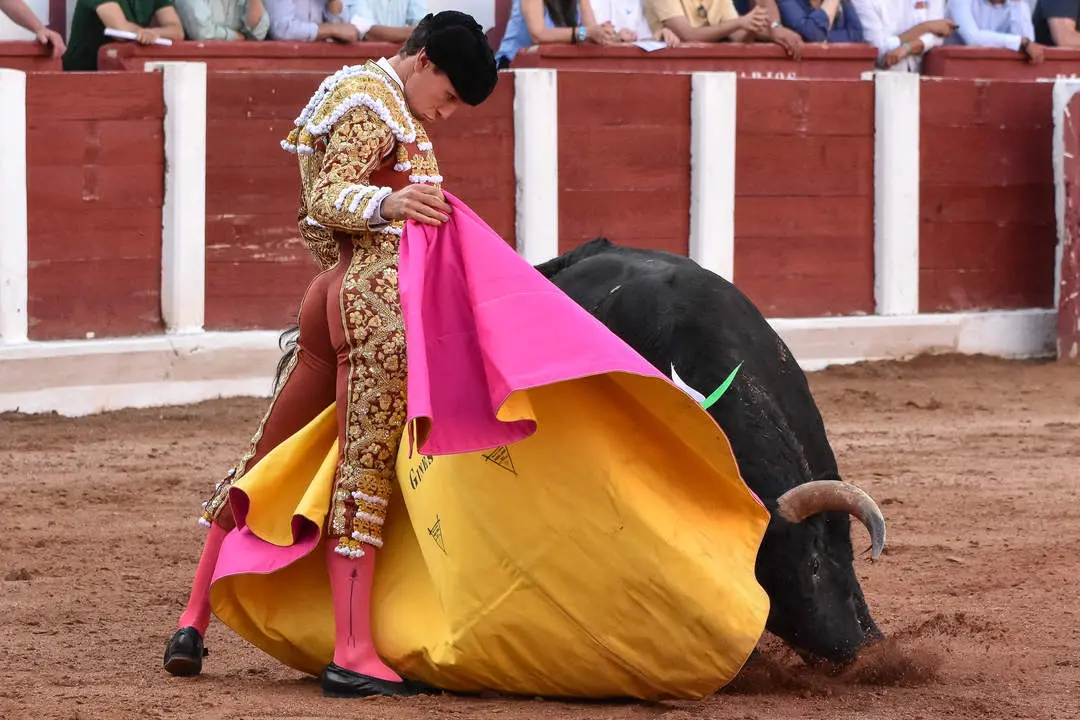 toros zamora san pedro 2024 (25)