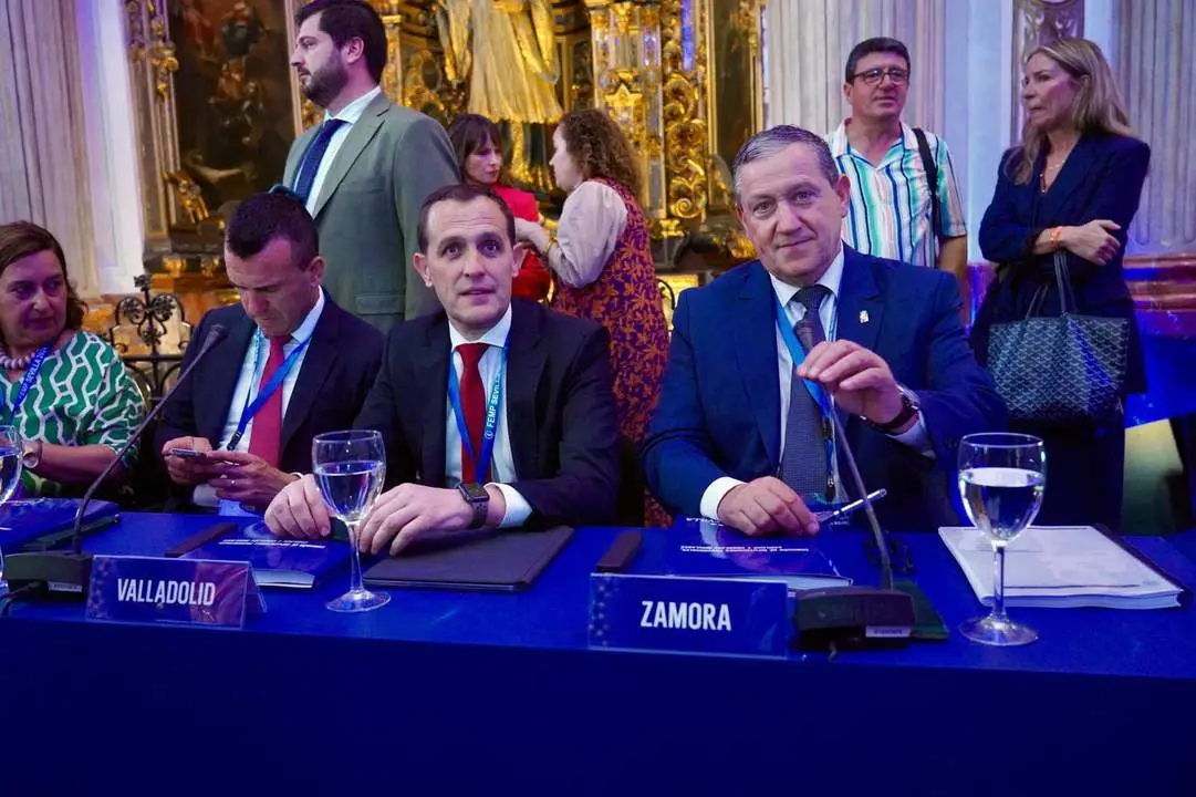 Javier Faúndez en la Comisión de Diputaciones, Cabildos y Consells Insulares de la FEMP