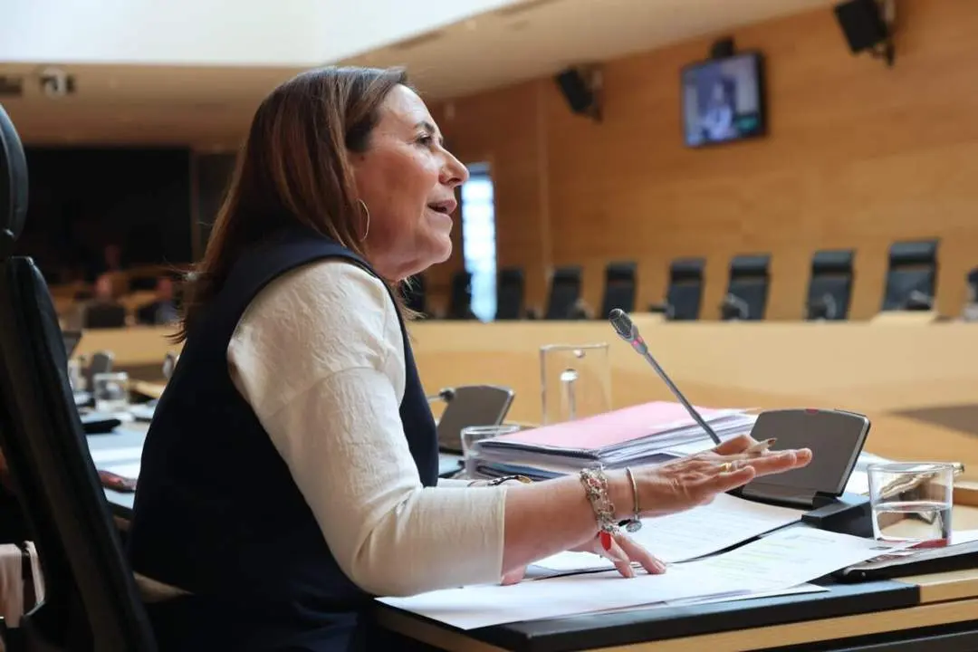 Rosa Rubio. imagen PSOE