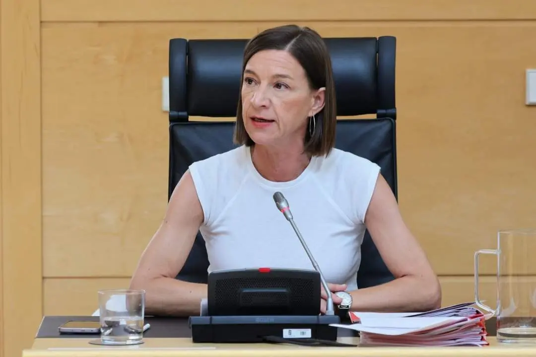 portavoz de Movilidad y Transformación Digital del Grupo Socialista en las Cortes de Castilla y León, Laura Pelegrina