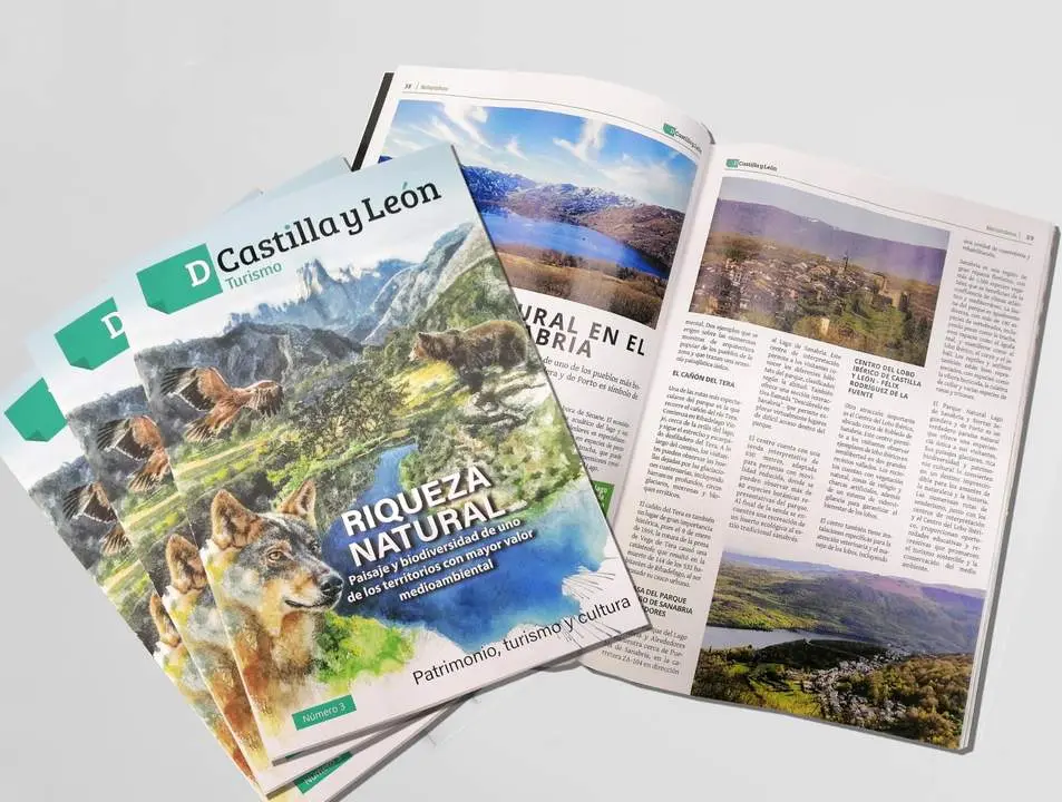 Revista Imediacyl