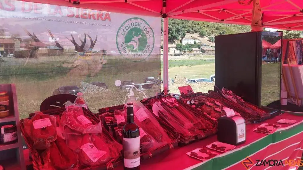 XXXIII Día de la Comarca de Aliste, Tábara y Alba_20
