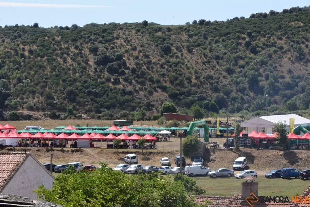 dia de la comarca en imágenes_24