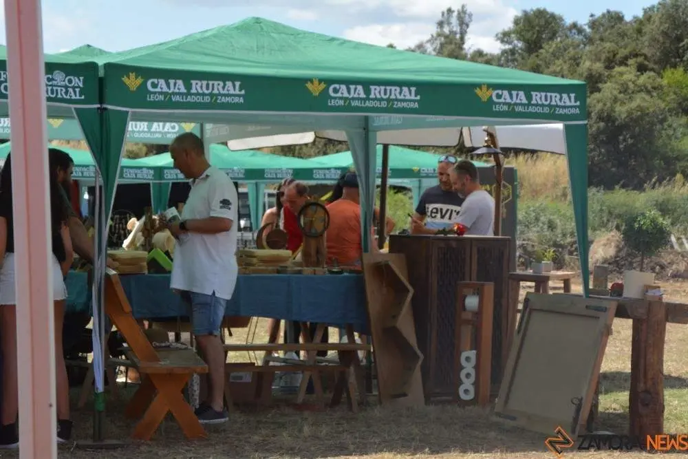 dia de la comarca en imágenes_85