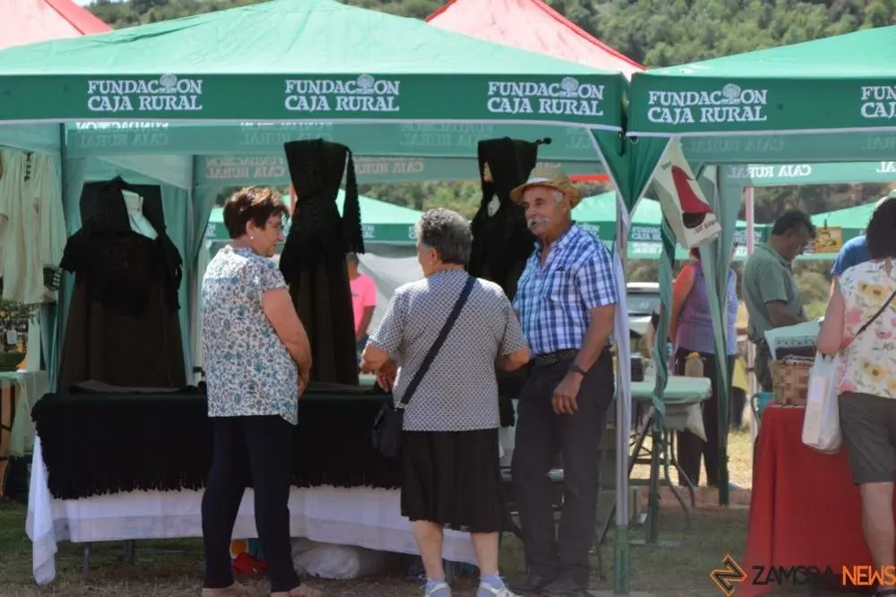 dia de la comarca en imágenes_87
