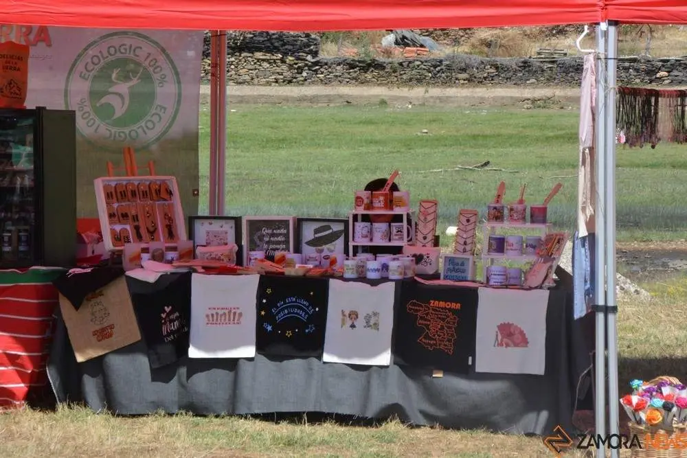 dia de la comarca en imágenes_105