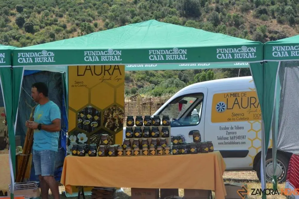 dia de la comarca en imágenes_111