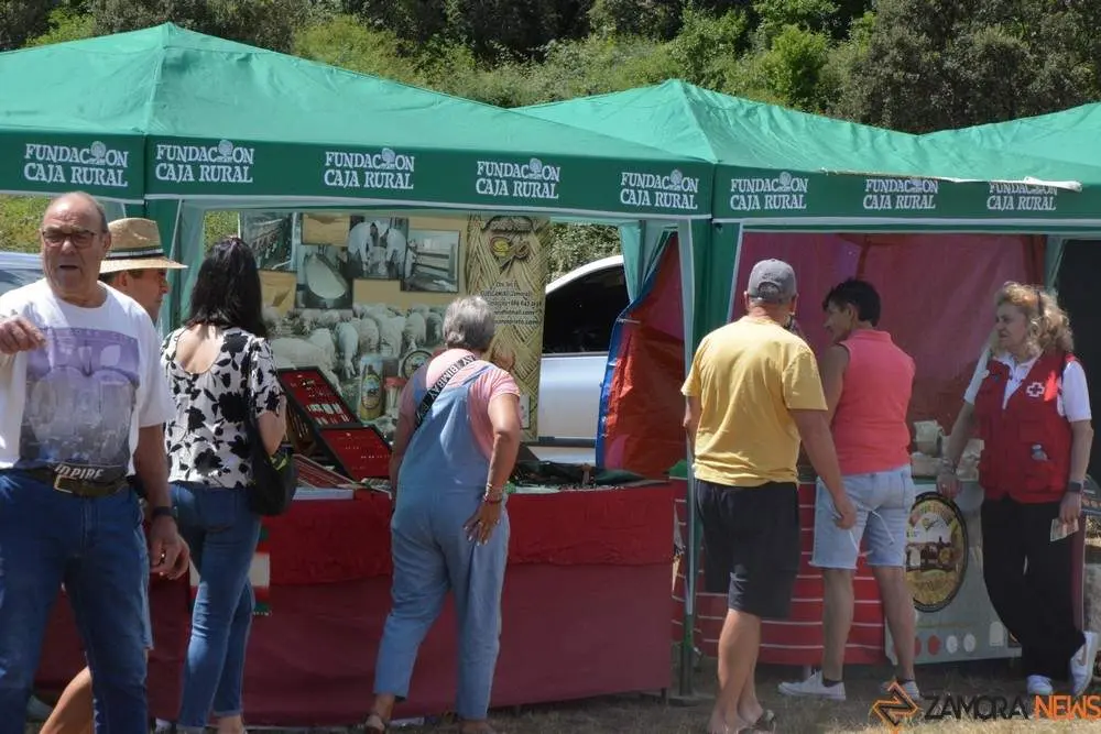 dia de la comarca en imágenes_114