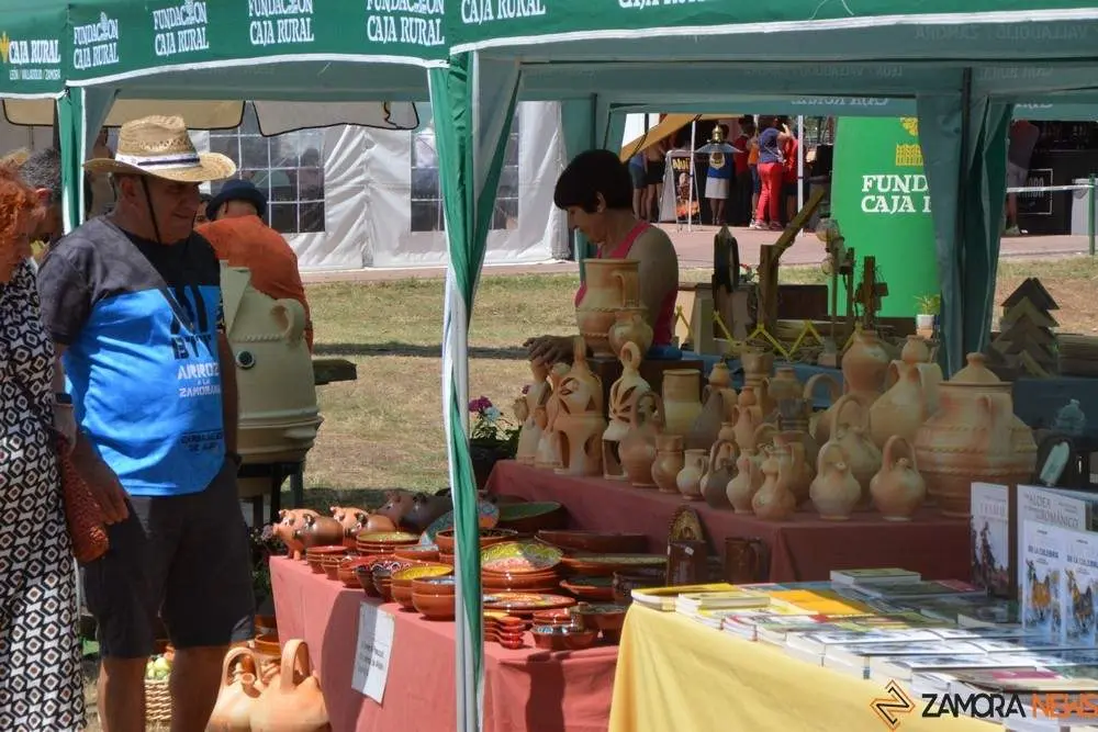 dia de la comarca en imágenes_115