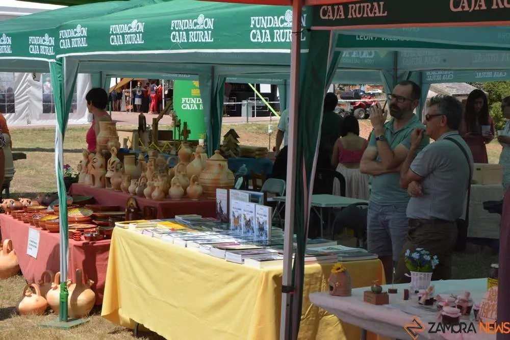 dia de la comarca en imágenes_116