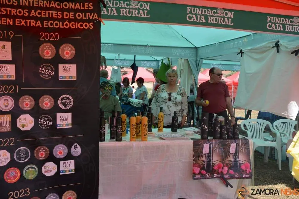 dia de la comarca en imágenes_118