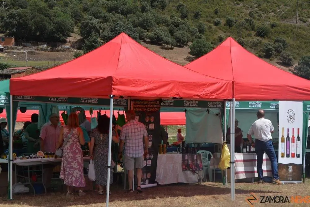 dia de la comarca en imágenes_128