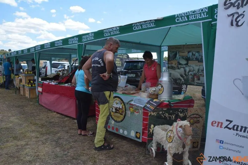 dia de la comarca en imágenes_130