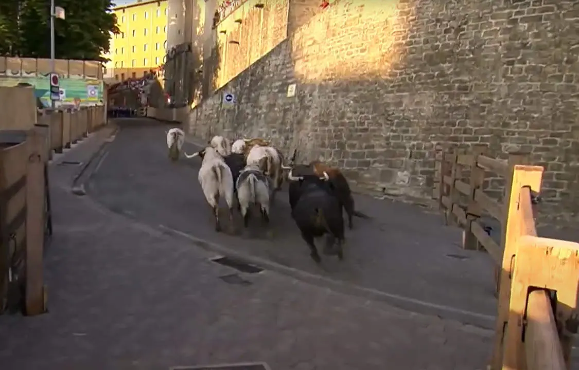 (522) SEGUNDO ENCIERRO del San Fermín 2024  Toros de Cebada Gago