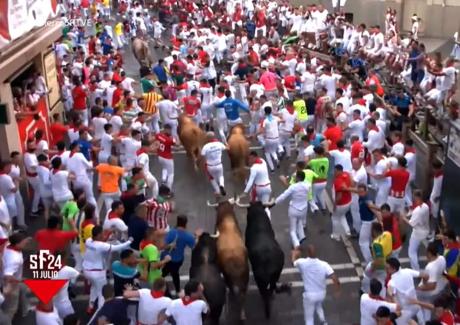 VIVE SAN FERMIN