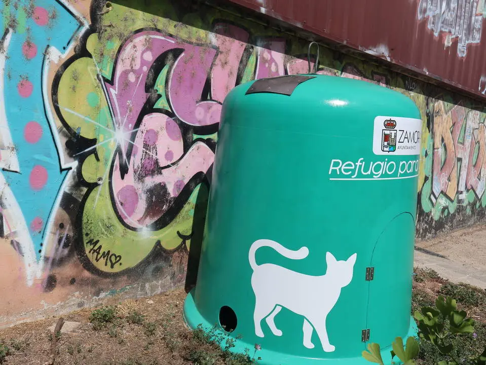 refugios para gatos