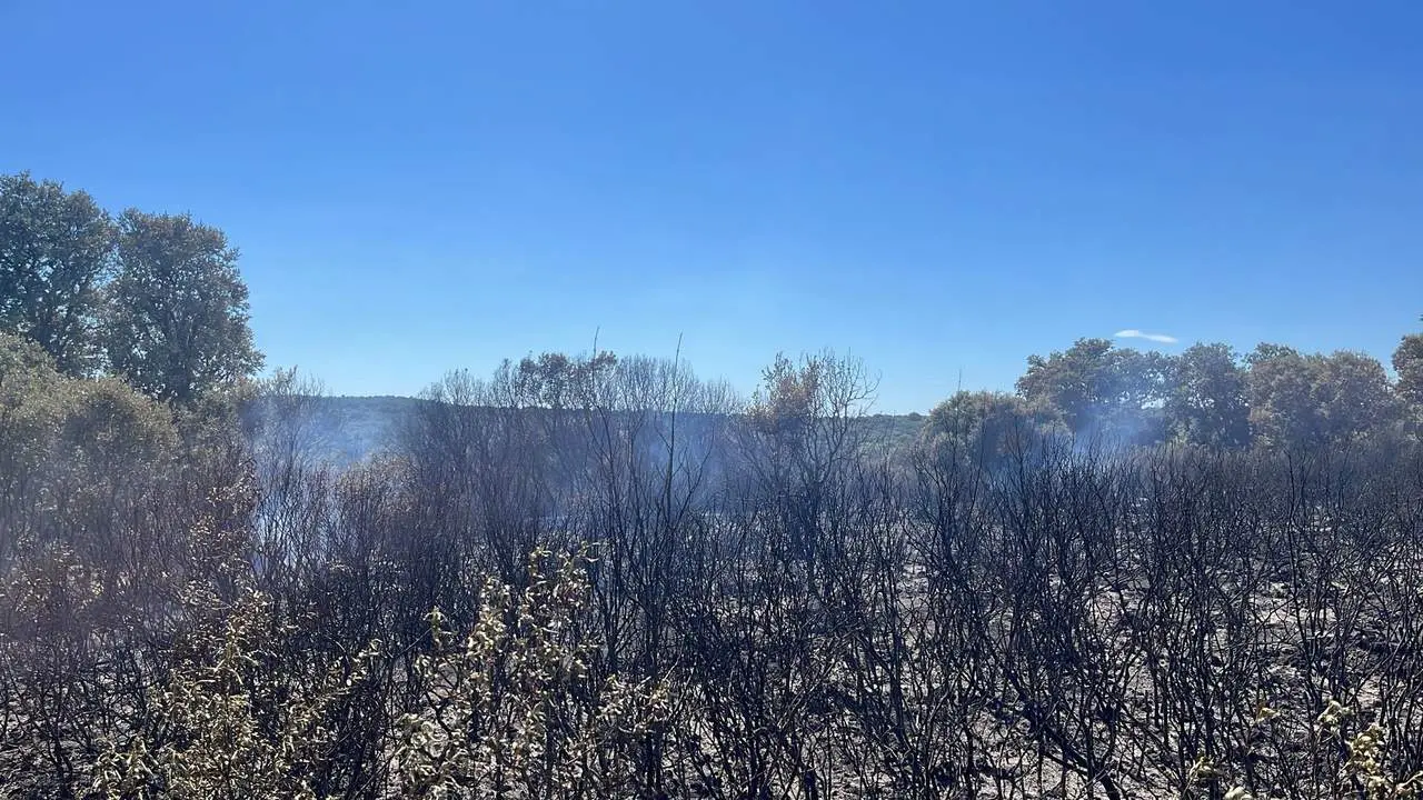 Incendio Villar de Farfon. imagen de archivo