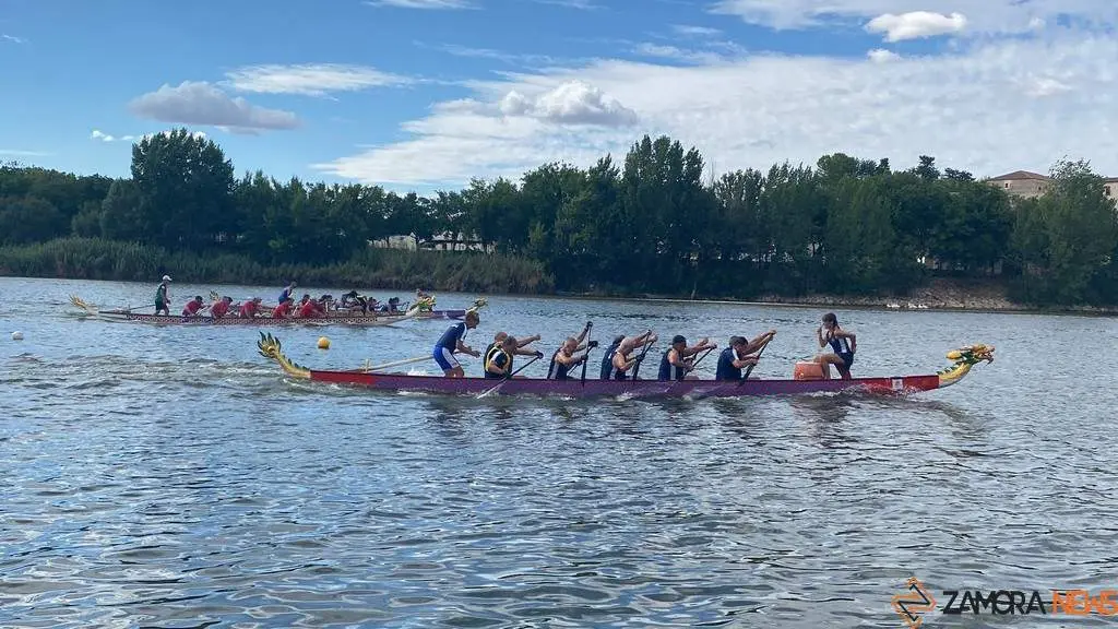Barco Dragón_2