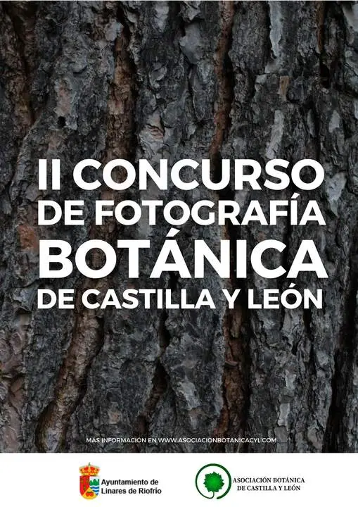 CARTEL CONCURSO FOTOGRAFÍA
