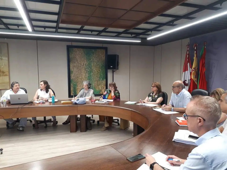 Comisión T. Patrimonio julio