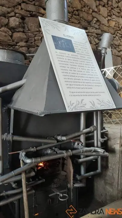 aceite fermoselle_13