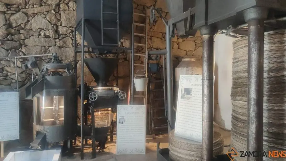 aceite fermoselle_20