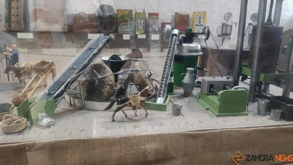 aceite fermoselle_22