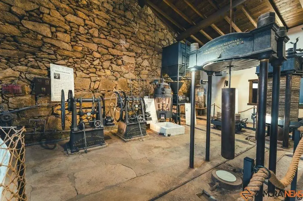 aceite fermoselle_30