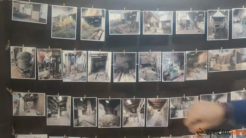 aceite fermoselle_34