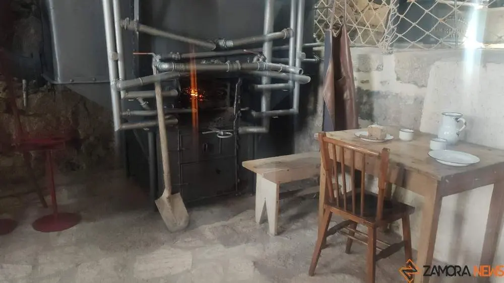 aceite fermoselle_37