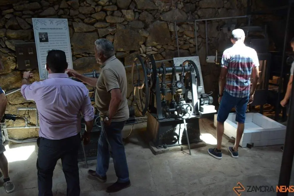 aceite fermoselle_72