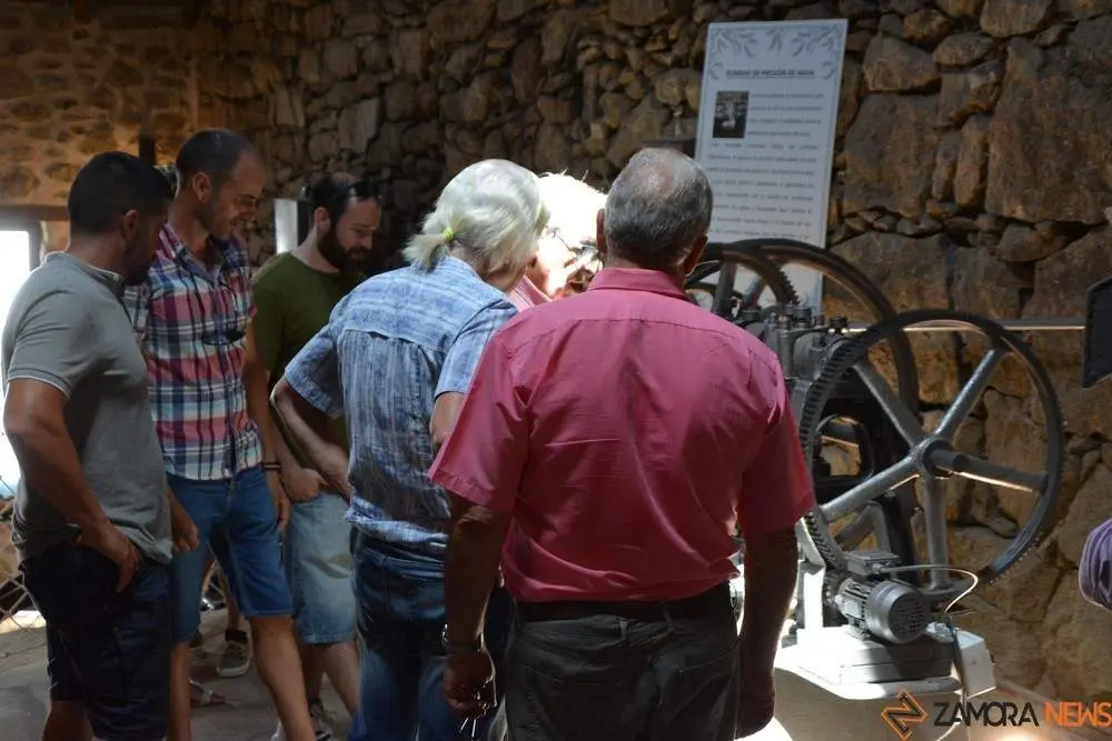 aceite fermoselle_80