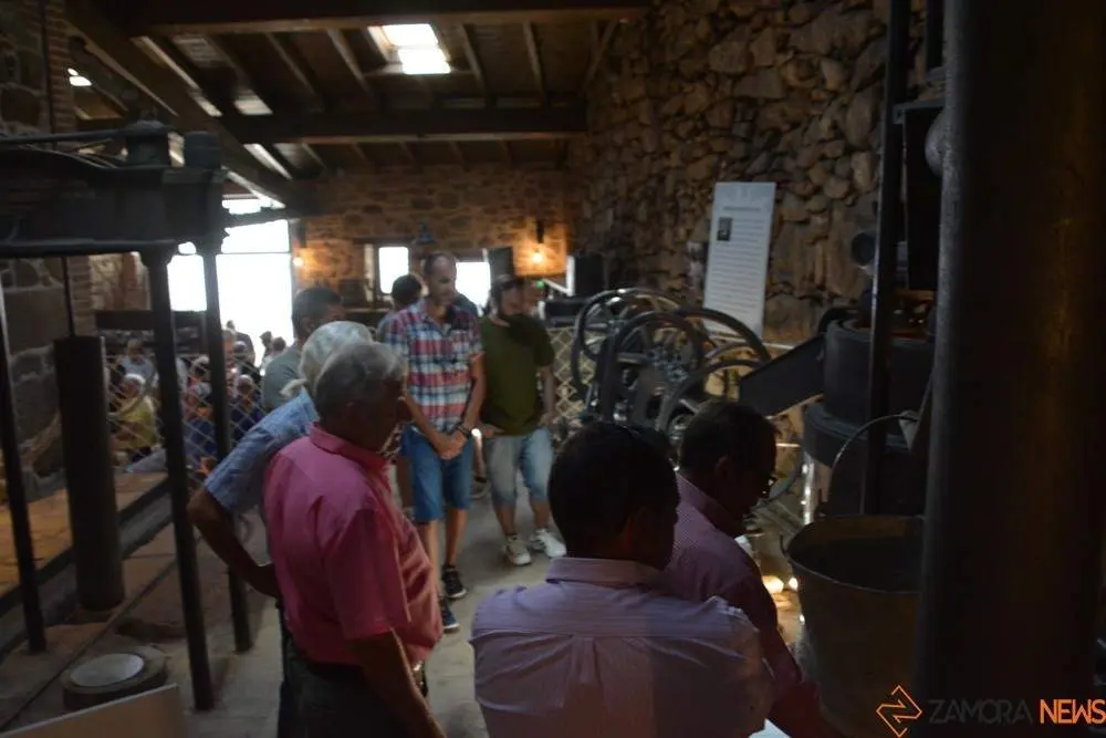 aceite fermoselle_83