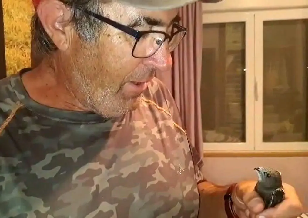 clemente y fabio