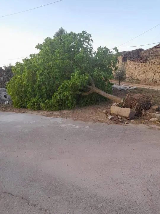 Sobradillo de Palomares