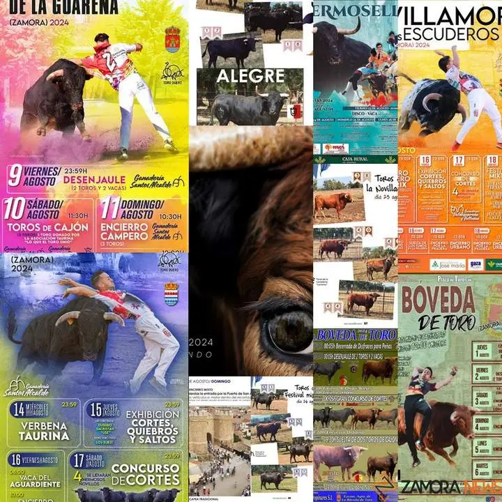 cartel encierros