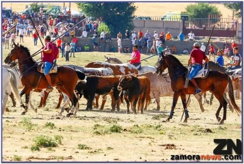encierro