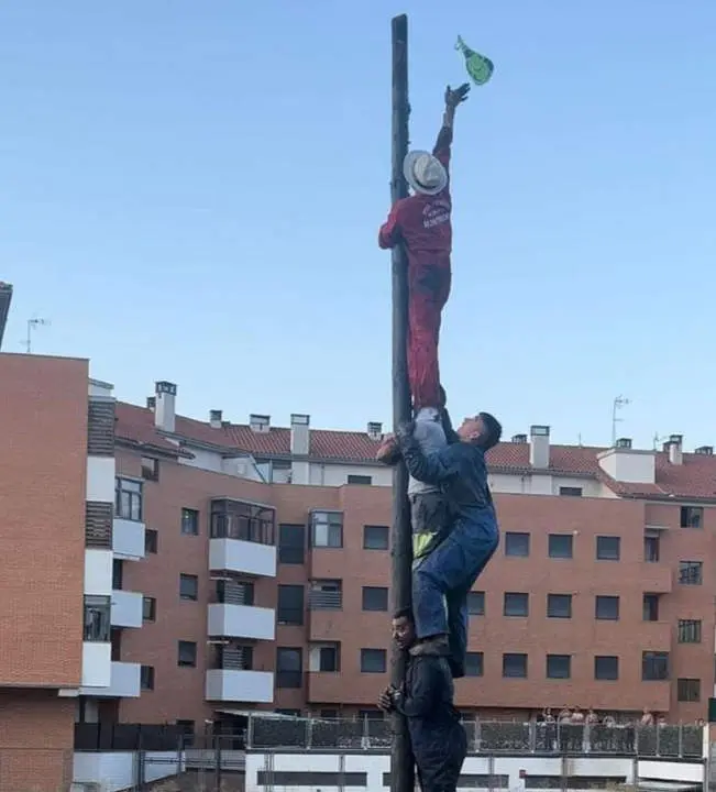 cucaña