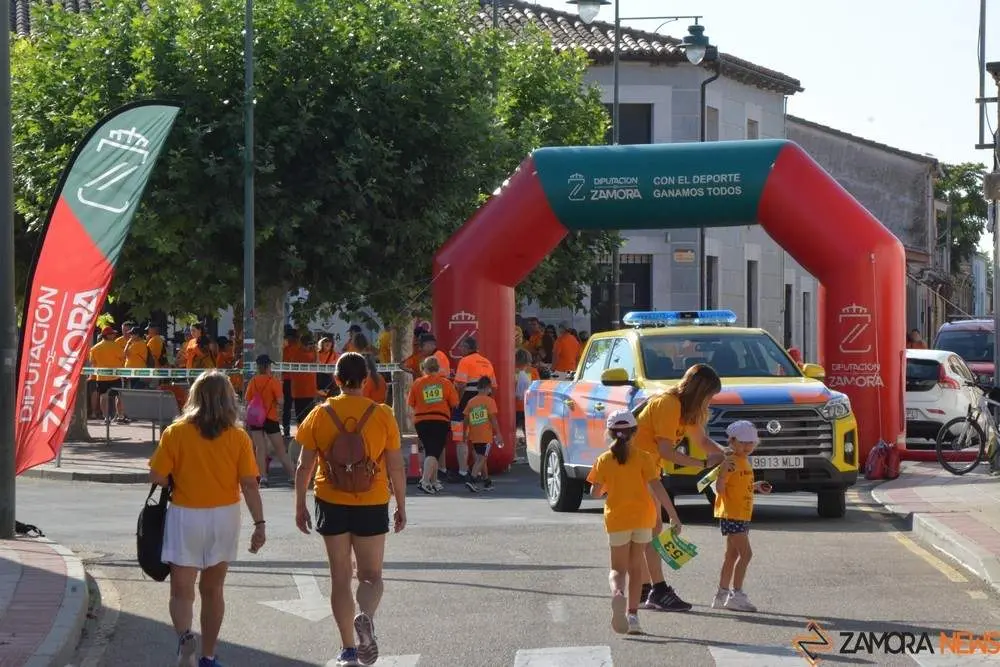 villaralbo paseo solidario azayca