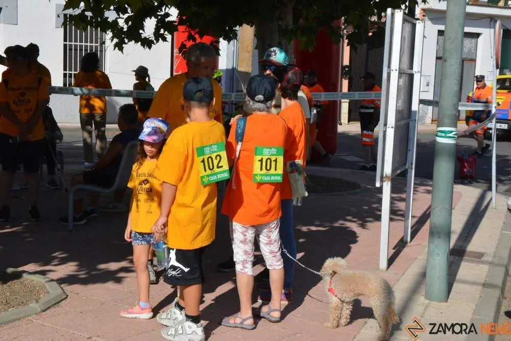 villaralbo paseo solidario azayca_32