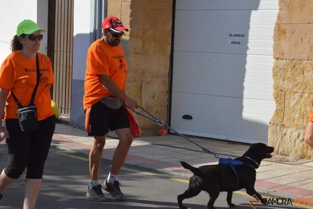 villaralbo paseo solidario azayca_46